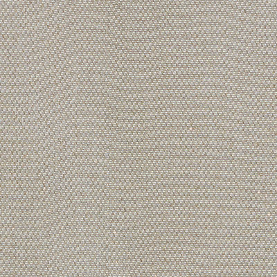 Giorgio Sheer Fabric