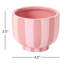Pink Striped Compote