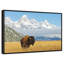Grand Teton Bison Bull-1700862641-1700862650