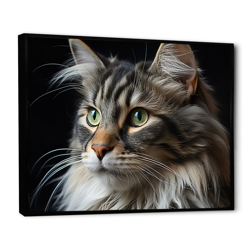 Portrait de chat II - impression d'art mural chat, H 34 po x l 44 po x P 1,5 po, Cadre flottant noir
