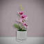 Nichet Hydrangea Arrangement in Vase