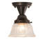 Mulkeytown 1 - Light Flush Mount