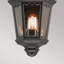 Delora Black Outdoor Wall Lantern-11183588