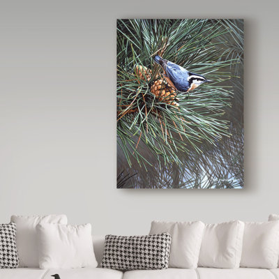 «Nuthatch On Pine Cone» par Etelca, impression sur toile tendue