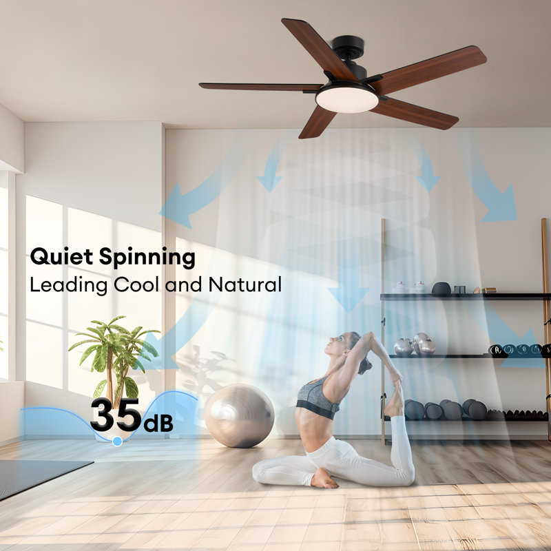 52" 5-Blade Modern Ceiling Fans with Lights and Remote Control, Black/Brown