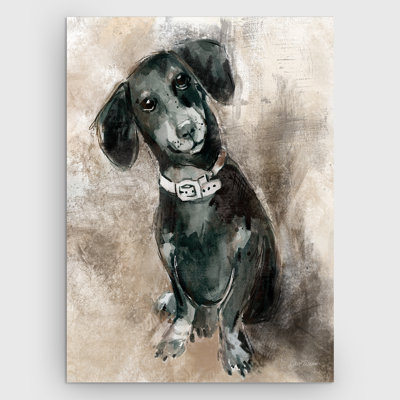 Sketchy Study Dachshund by Carol Robinson - Print on Canvas