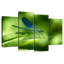 Libellule sur une feuille-108904739