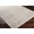 Emilio Southwestern Indoor Rug-523393501