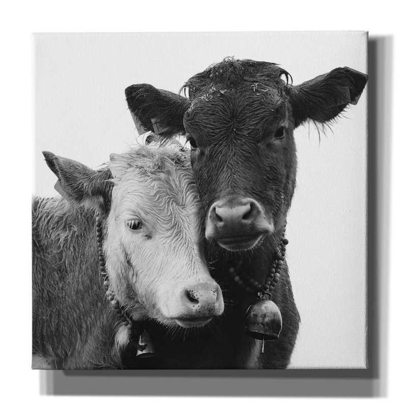  «Best Friends 2» par Decent Exposures, art mural 12 po x 12 po, H 12 po x l 12 po