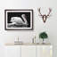 White Swan Swimming - Picture Frame Painting Print-56739278-56739277