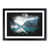 Black Framed selected