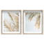 Palm Visions Set Shadowbox Floral & Botanical Print by Oliver Gal, Black Frame, 16 x 20-1152694965-1152694973