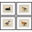Duck Series Giclee Print by Paul Cezanne