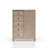 5 Drawer Door Chest