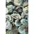 Oyster Shells - Gastronomy Metal Print for Home Decor