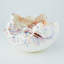 Cambrian Bowl-19389920