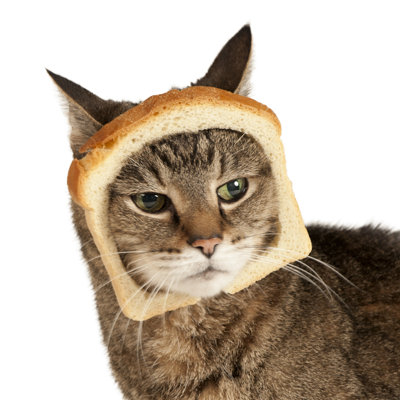 Breaded Cat by Westhoff