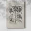 Impression sur toile encadrée-632436903
