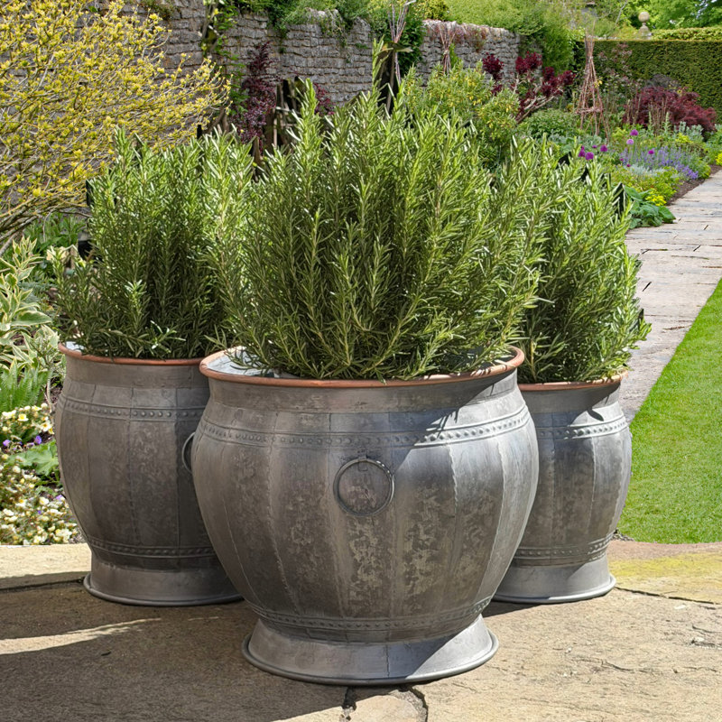 Pot de fleurs en pot