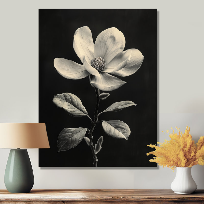 Magnifique photo botanique grise et noire - magnolia, Sans cadre, métal, H 24 po x l 32 po