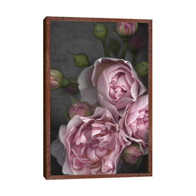 Pink Peony by Juliana Loomer - Painting on Canvas