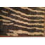 Tapis moderne moderne en jute à motif oriental marocain pour vestibule 3 x 5 pi