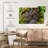 Mossy Kauri Tree-1696759301