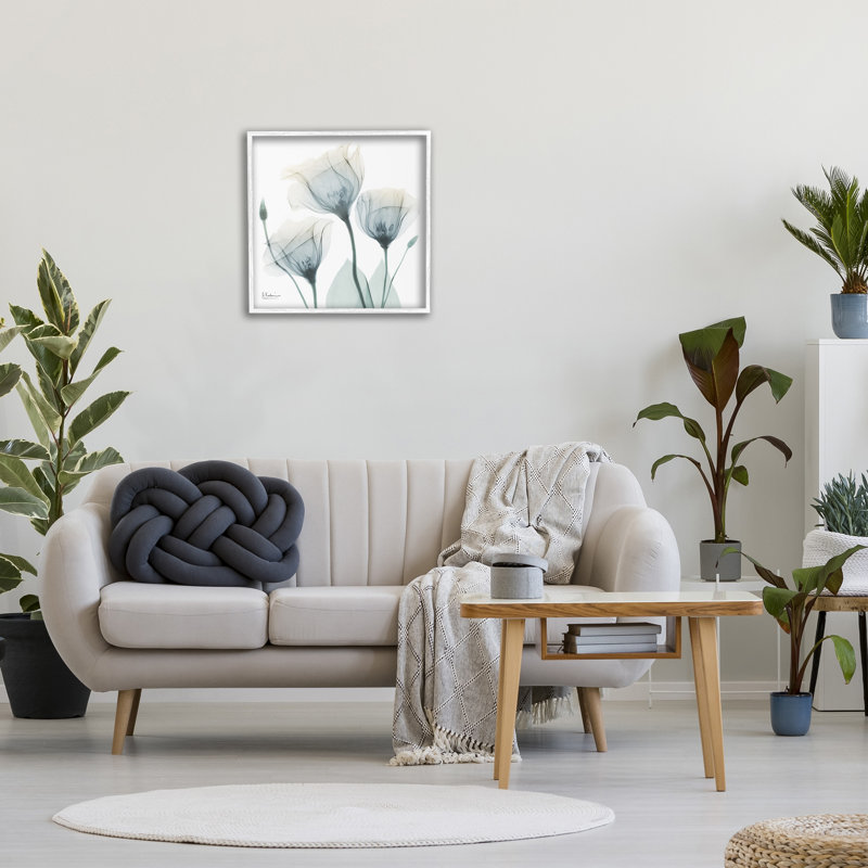 Douces tulipes opaques, giclée par Albert Koetsier, H 24 po x l 24 po, Giclée encadrée blanc bord de mer