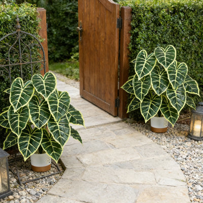 set of 2 2FT Artificial Alocasia Plant in Plastic Pot, Lifelike Faux Calathea Begonia Tropical Fake Plant,Large Greenery for Home Office Living Room Bathroom Floor Decor