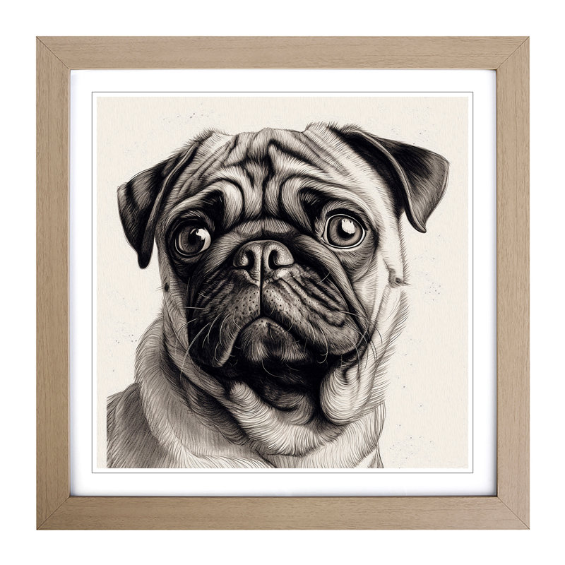 Pug Drawing No.2 - Single Picture Frame Print on Wood, Oak