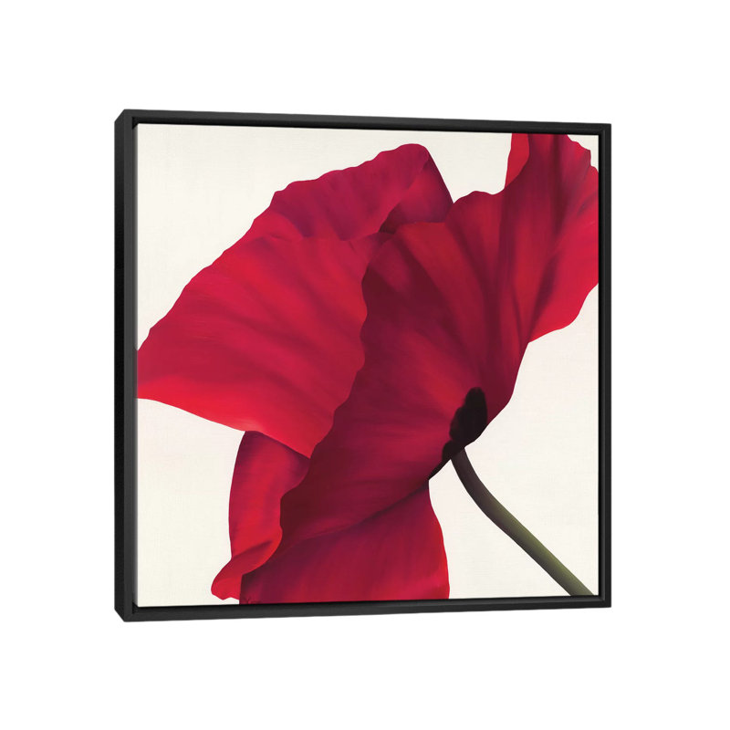 « papaver ii », impression sur toile, H 18 po x l 18 po x P 1,5 po, Toile avec cadre noir, Pas de tapis