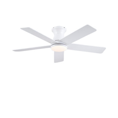 Ventilateur de plafond 46 po à 5 pales avec lumière