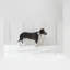 Hiddin Clear Freestanding Tall Zig Zag Pet Gate-1571870133