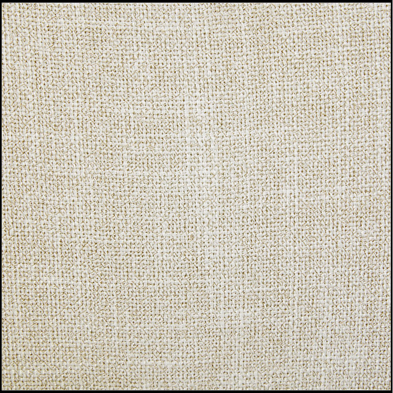 Ensemble de 2 chaises d'appoint confortables avec coussins épais et tissu doux pour la peau pour une assise élégante