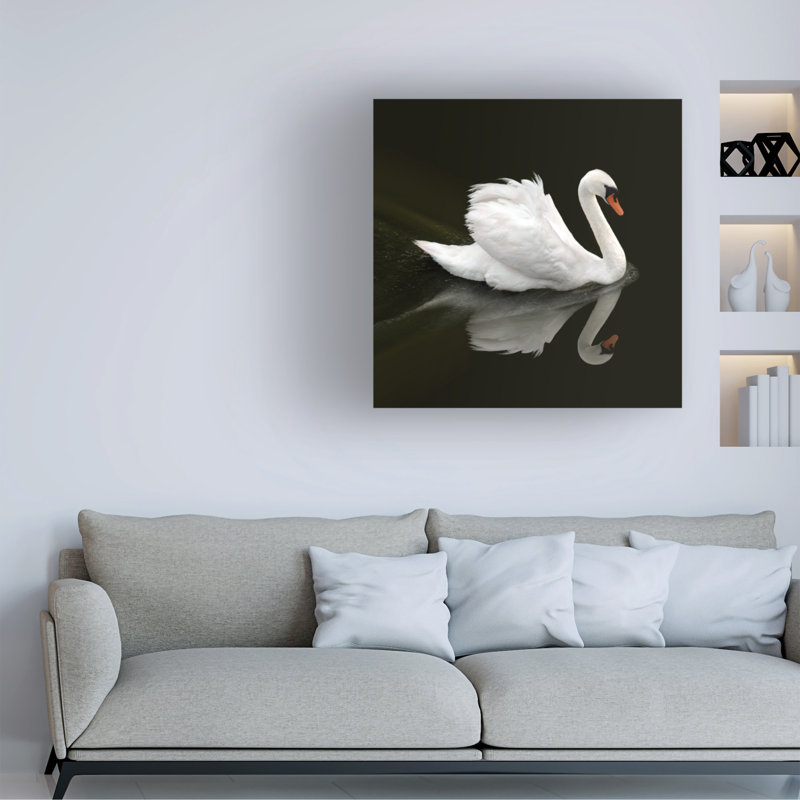 Swan 1 par Ben Heine - photographie sur toile tendue, H 14 po x l 14 po x P 2 po