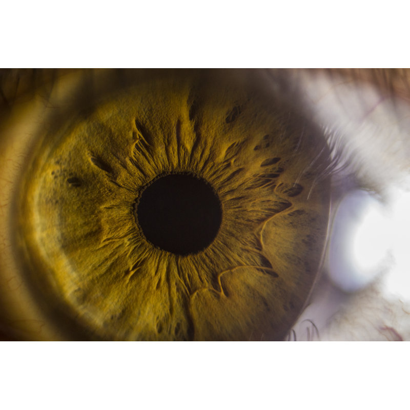 «Tykirra Eye» sur toile, H 8 po x l 12 po