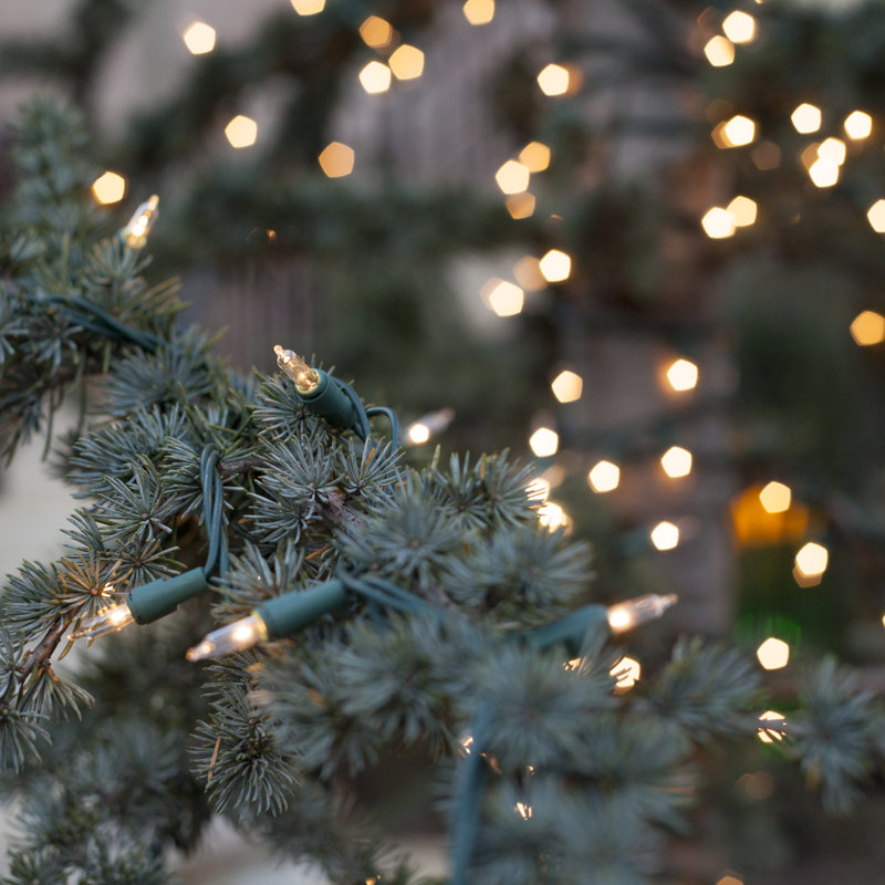 204'' String Lights, Green