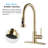MAXWELL Katzer Pull Down Kitchen Faucet-56556901