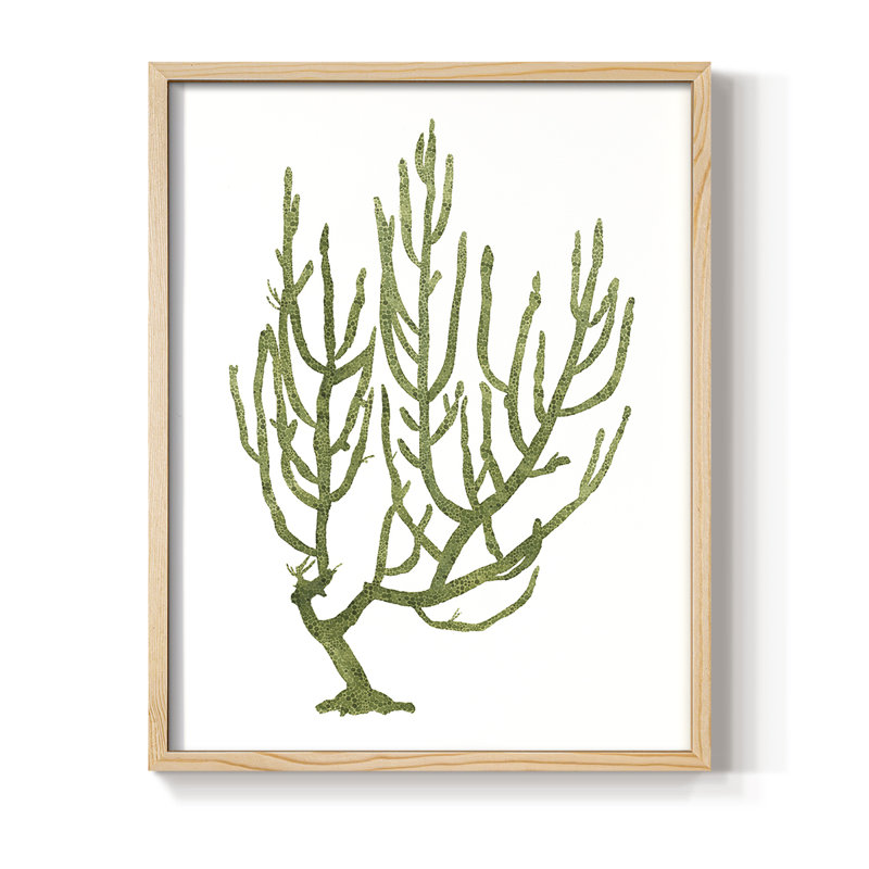 "Coral Souvenirs III"