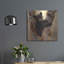«Curious Cub I» par Collin Bogle-1401735098