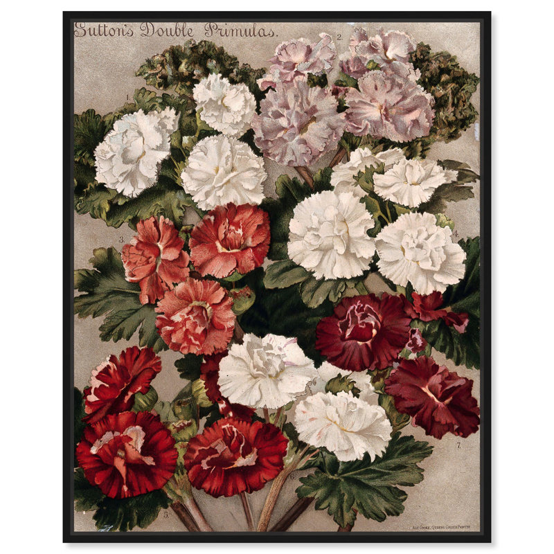 Fleurs de primevères sur toile , H 21 po x l 17 po, Cadre flottant, Argent argent