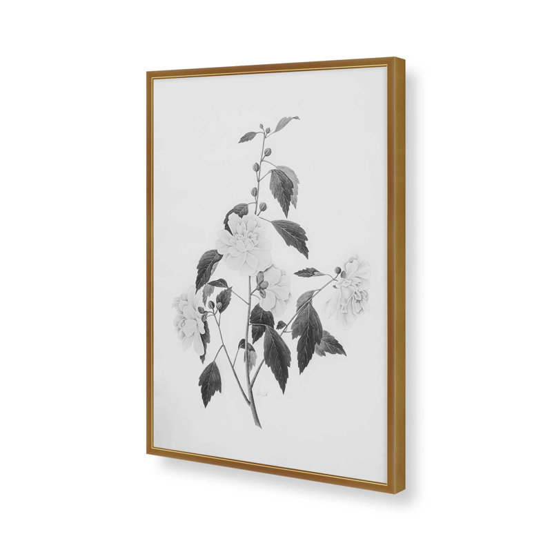 «Botanical III» par Deborah Revell, reproduction d'art, H 18 po x l 12 po, Doré
