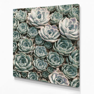 "Watercolor Botanical 82", art mural sur toile grise