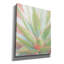 «Succulent Bloom 1» par Stellar Design Studio, estampe numérique sur toile-90544288