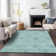 Leis Floral Indoor Rug