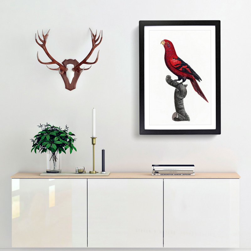 A Violet-Necked Lory by F. Levaillant - Framed Print, Black Framed, 63cm H x 45cm W x 2cm D