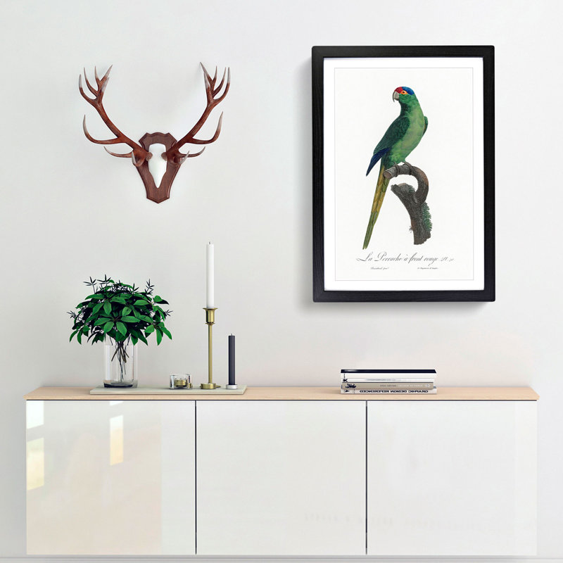 Red-Crowned Parakeet by F. Levaillant - Picture Frame Painting Print, Black Framed, 36cm H x 27cm W x 2cm D