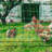 Static Electric Fence-108215477