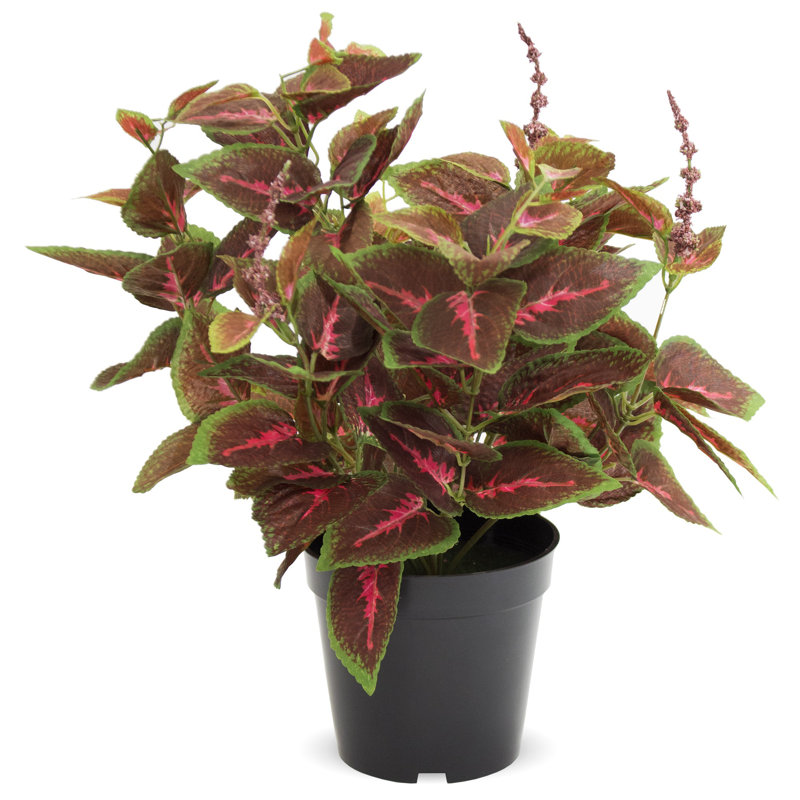 36cm Faux Evergreen Plant in Pot