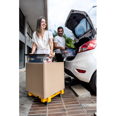 13.8cm H x 50.5cm W x 50cm D 115kg Platform Trolley